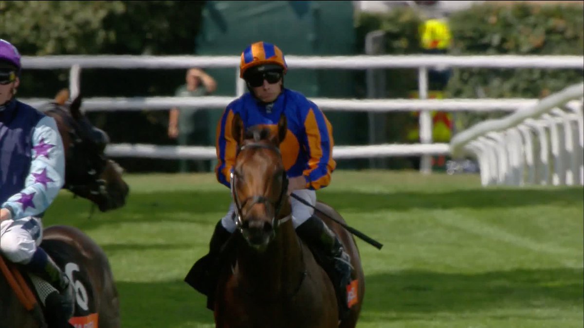 A much needed winner for Ballydoyle! Man's Best Friend wins the Markel Richmond Stakes 🥇