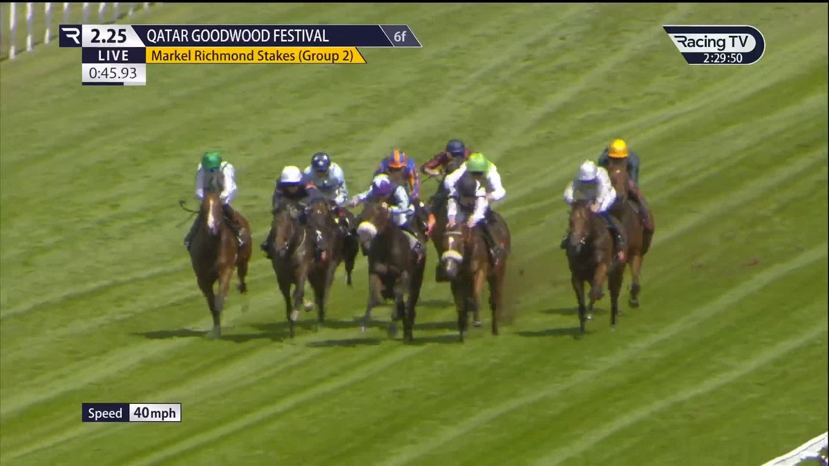 🟦 Man's Best Friend 🟧 Now that's a proper performance 👊 Coolmore | Ballydoyle Racing
