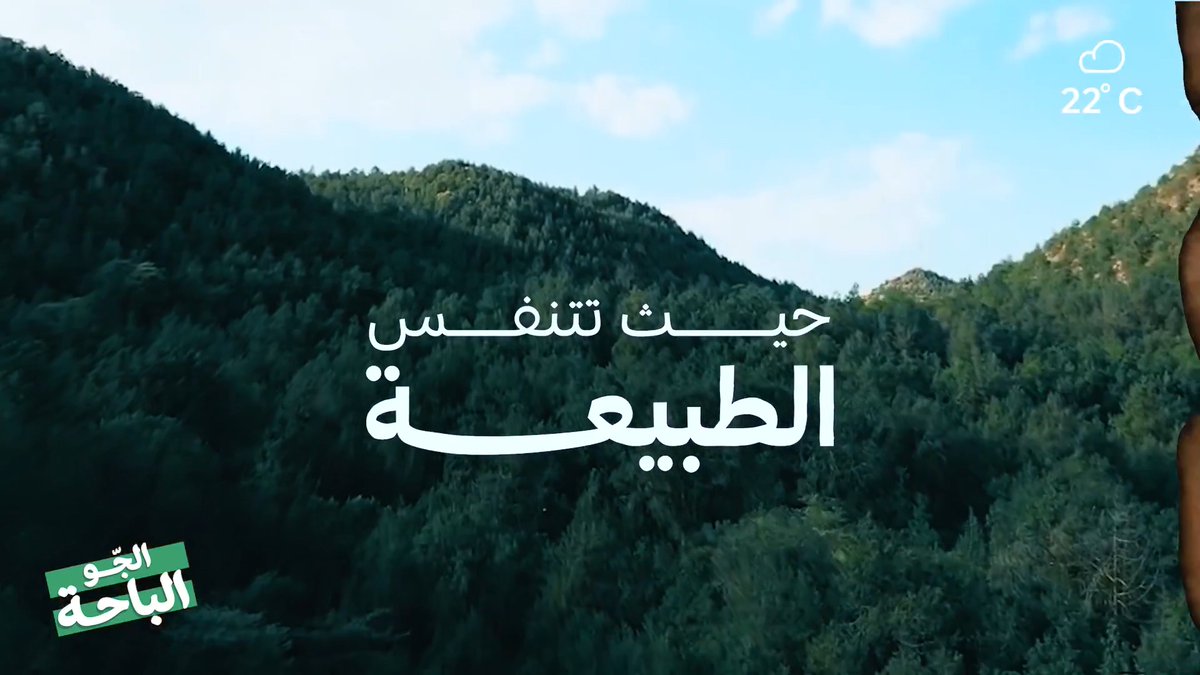 تبي الطبيعة والراحة.. ترى الجّو الباحة 🌳