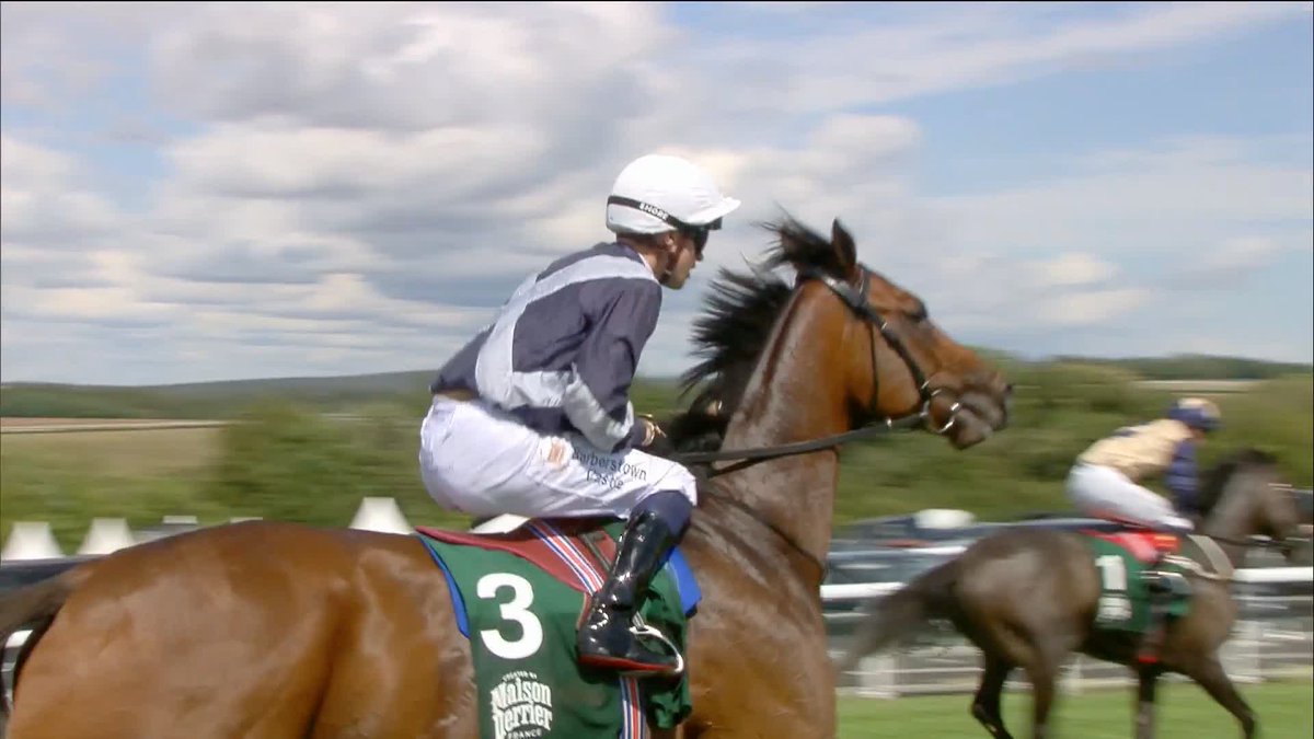 Still unbeaten as a three-year-old! Enceladus comes out on top in the Maison Perrier Gordon Stakes 🥇 Dylan Browne Mc Mon | Joseph O'Brien
