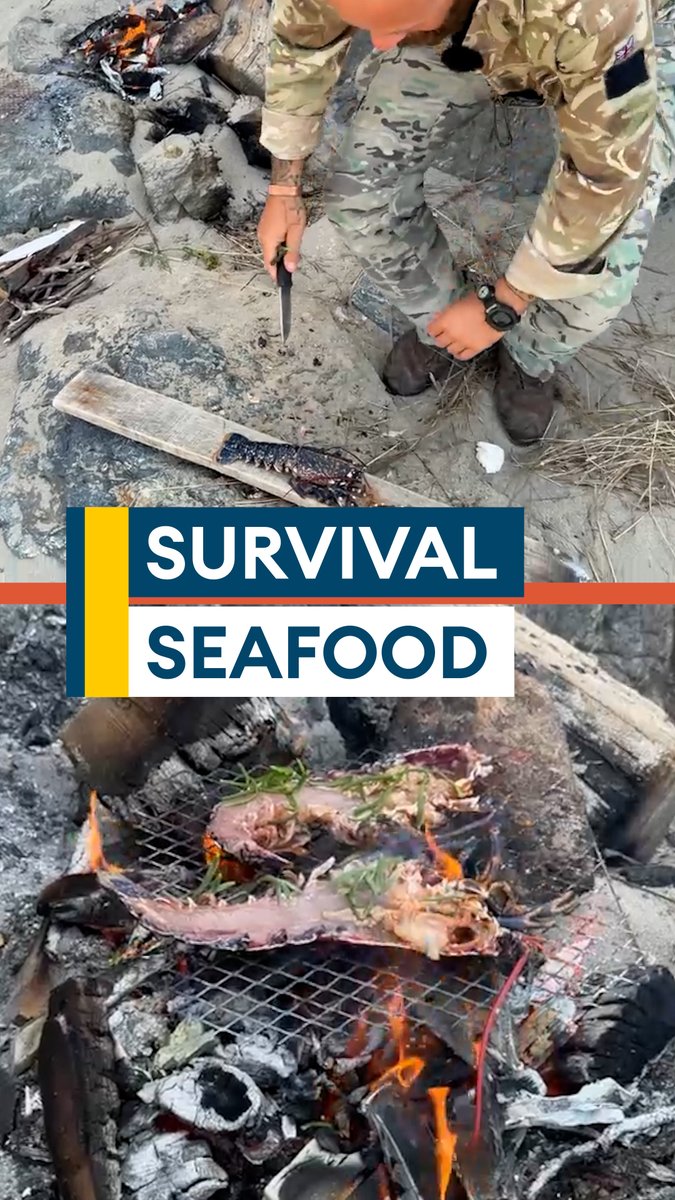 Could you survive behind enemy lines?🦞 UK Armed Forces personnel are taught to forage, catch and cook food, including lobster, to stay alive until rescue🔗