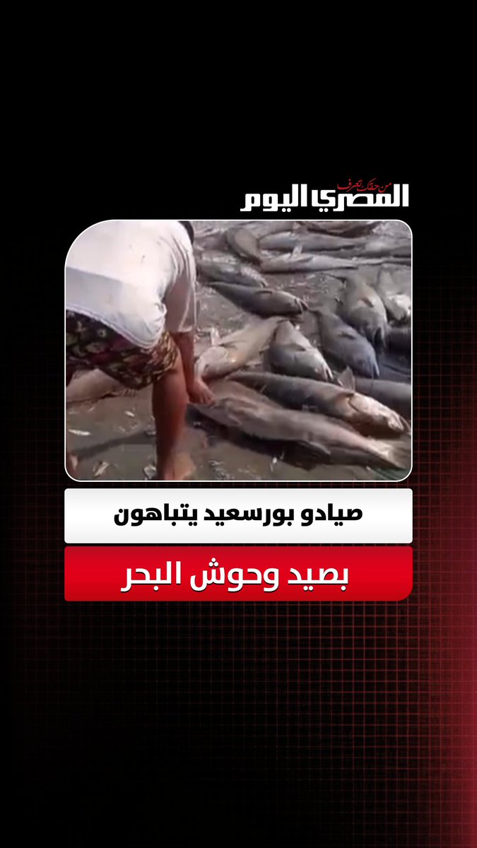 بأحجام غير معتادة.. صيادو بورسعيد يتباهون بصيد وحوش البحر
