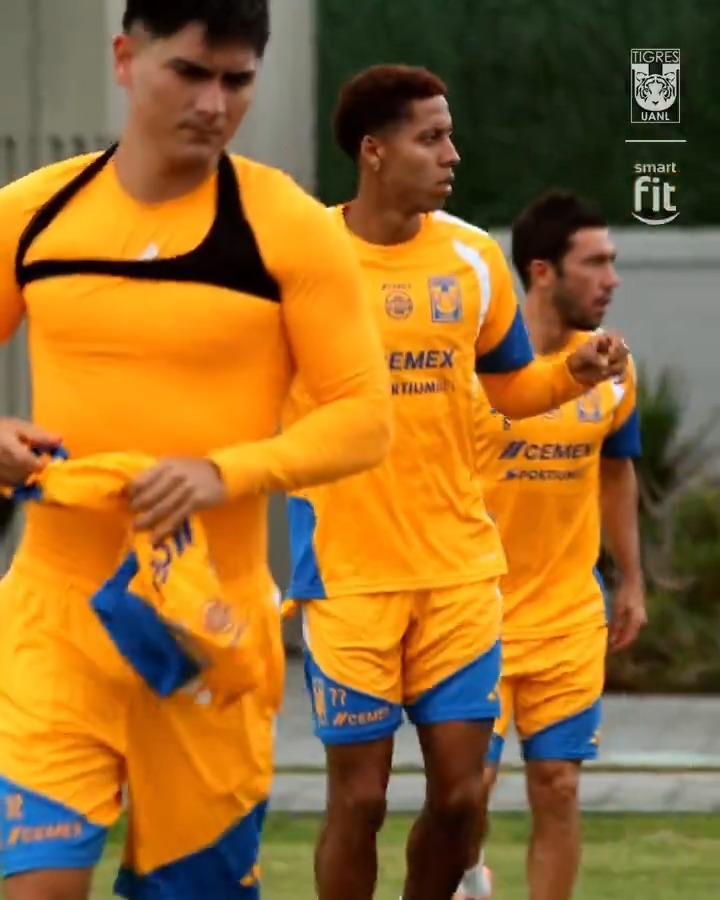 📹 Equipo unido y enfocado, somos los Tigres. 🐅 Smart Fit México