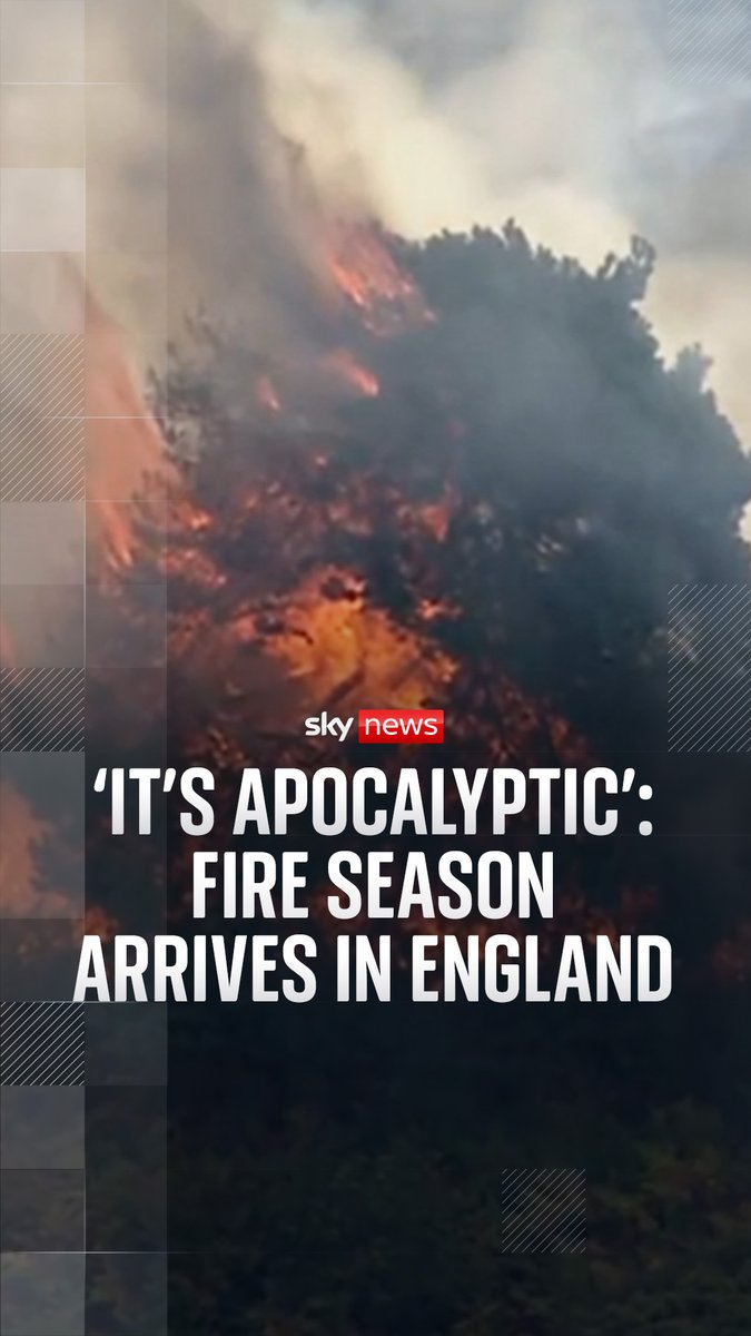 A wildfire raging near the Sizewell B nuclear plant on the Suffolk coast could burn for another 36 hours, officials have warned. The wildfire grew by 50% over the day, and at least 48 people have fled their homes. Sky's Tom Clarke reports. 🔗