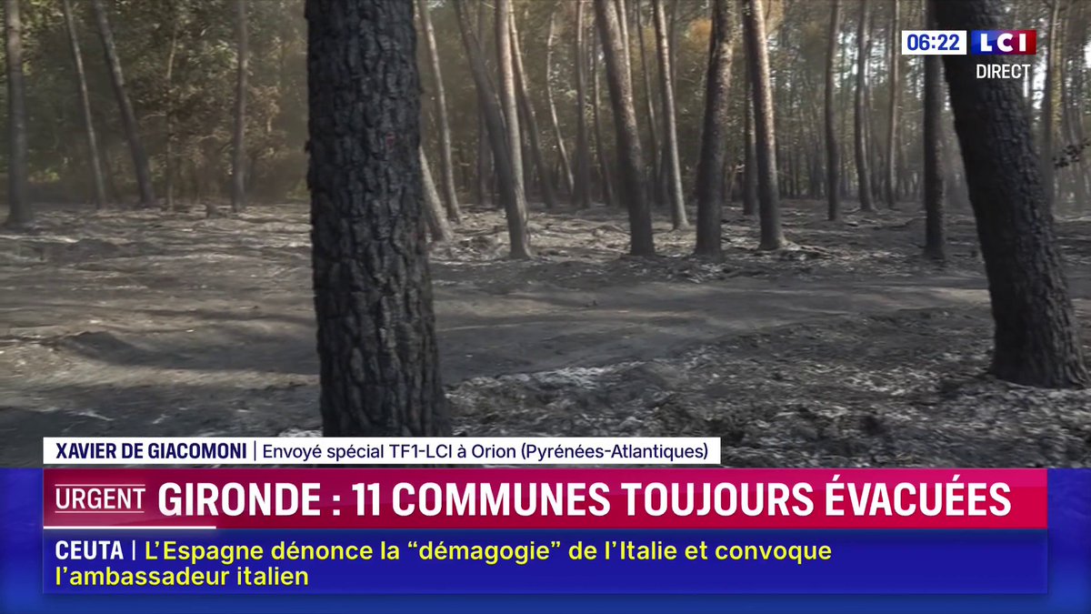 🔴 Que deviennent les arbres calcinés en Gironde ? 42 000 hectares sont partis en fumée, le mégafeu a fait des ravages ➡️ Xavier de GIACOMONI est à Orion, au sein d'une forêt brûlée 📺 Matinale LCI présentée par Solenn Riou