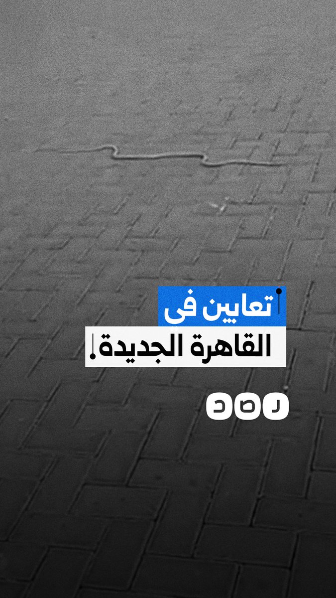سيدة توثق وجود ثعبان بالقرب من مدخل عمارة سكنية بمجمع سكني في القاهرة الجديدة