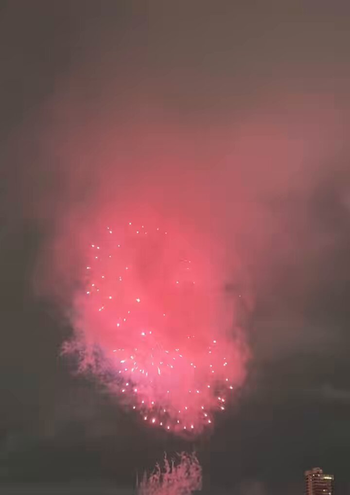 今日は花火大会行ったよ🎆✨ ハチワレがいっぱいに 見えるメガネで見てきた！！