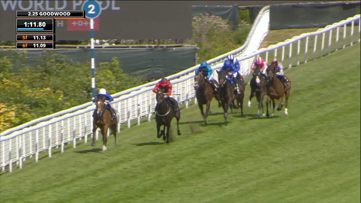 Shayem holds them off in the HKJC World Pool Thoroughbred Stakes 🥇 Karl Burke | Clifford Lee