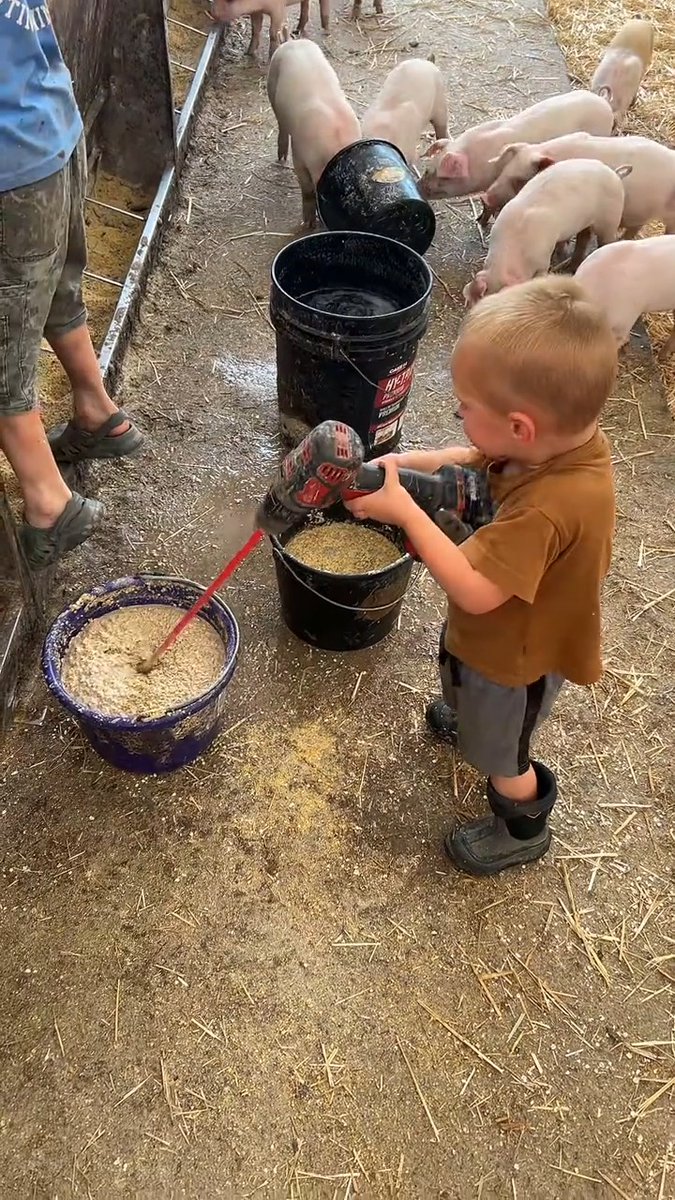 "I do it!" Happy Farm Kid Friday! (austinschultz via TikTok) #farmkid #agtwitter