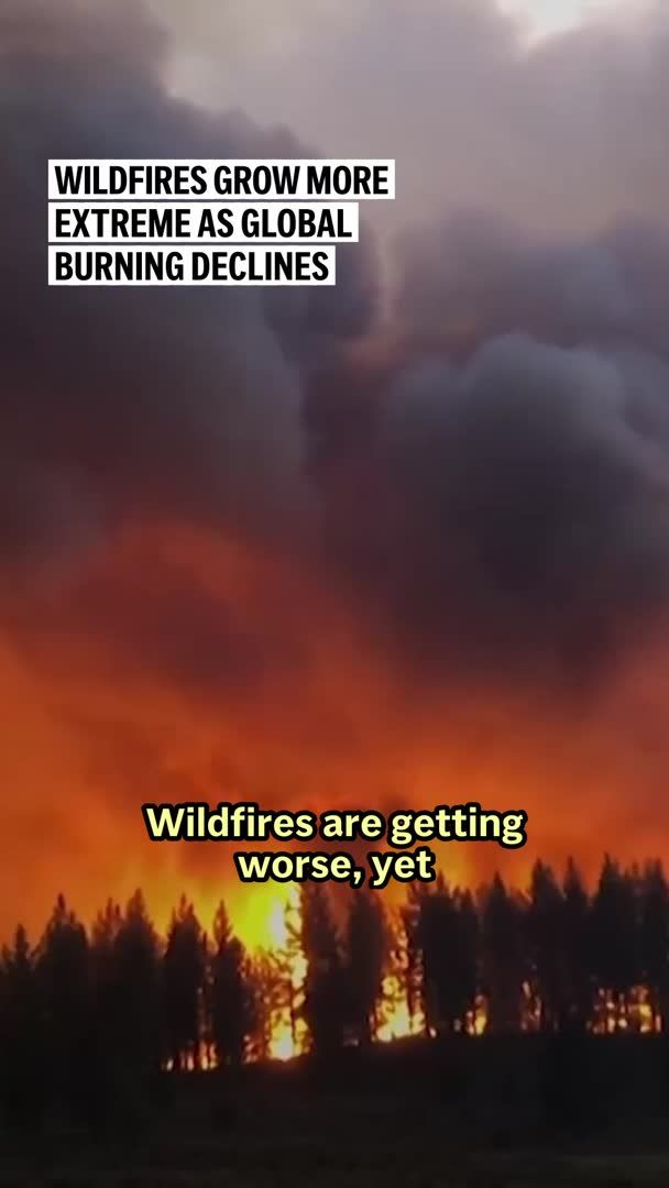 The world is experiencing two opposing fire trends because of human impact, experts say. Wildfires in Europe, Canada and the U.S. are high and close to record levels in Europe. Meanwhile, global fire emissions hit a record low in July, thanks to reduced fires in Africa and Asia.