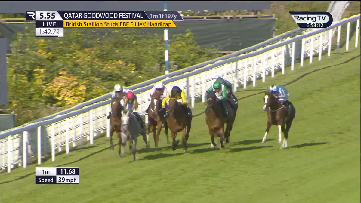 A 3yo on the up 📈 Silver Lake looks nicely ahead of the assessor. A lovely ride from saffie osborne 👊 Somerville Lodge Stables | Goodwood Racecourse