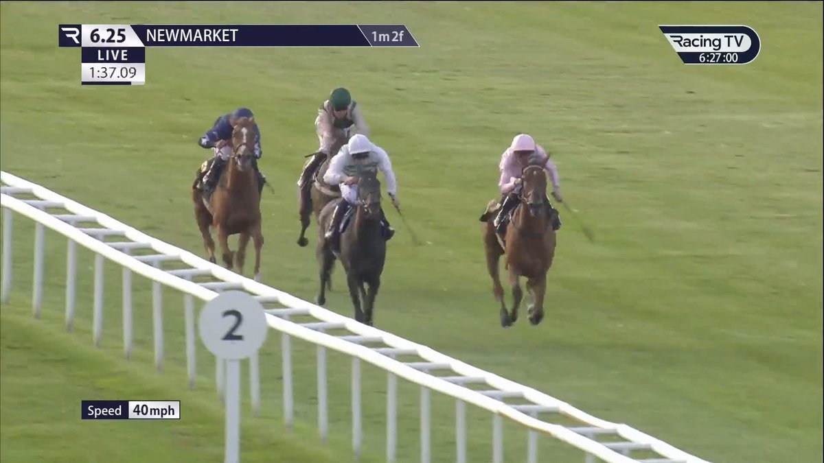 240,000gns buy Without Prejudice is a half-sister to Emily Upjohn and impresses on debut at Newmarket ✅