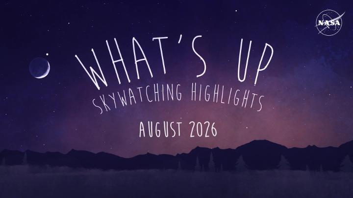 The sky is full of excitement this month! You can look forward to seeing: - A lunar and solar eclipse - The Perseid meteor shower - Venus at its brightest Learn more about how to catch August’s celestial sights.