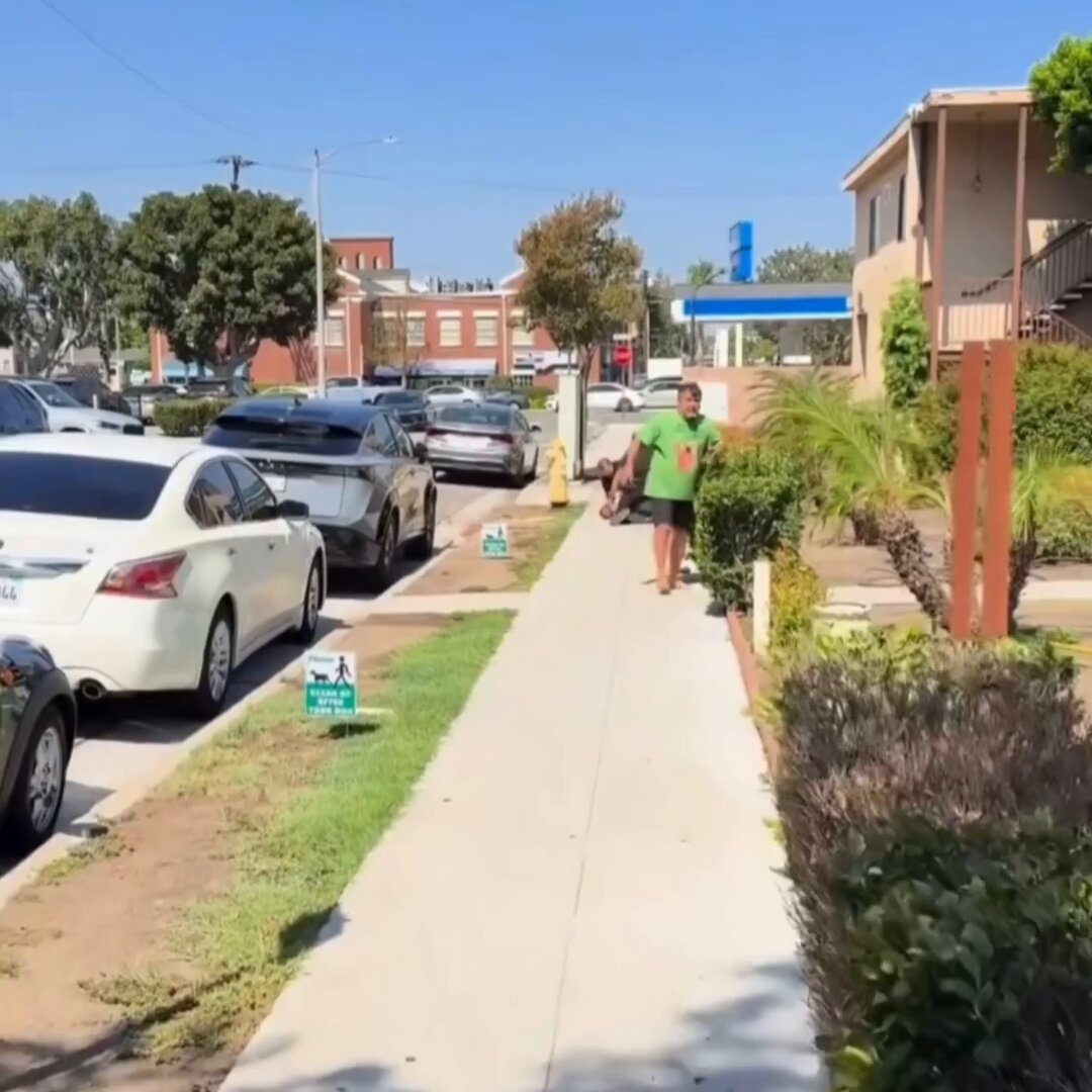 ALERT: Illegal immigrant screams for his mommy after being detained by ICE in California. According to the Department of Homeland Security, Michael Steven Arias-Villanueva, a Colombian native, was detained by ICE and has numerous criminal charges on his record. “This illegal alien’s criminal history includes charges for Burglary, Grand Theft, Organized Retail Theft, Theft, Receiving Known Stolen Property, Conspiracy to Commit Crime, and Driving Without a License.” “Border Patrol encountered Arias-Villanueva near El Paso, Texas, on January 11, 2024, and he was RELEASED into the country by the Biden administration. He will remain in ICE custody pending removal proceedings.”