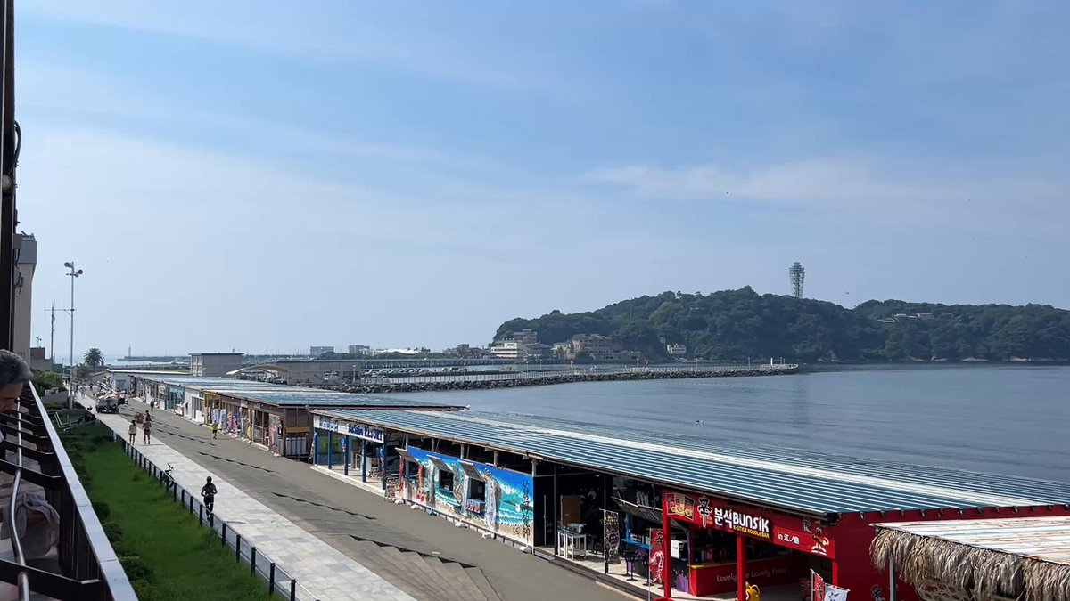 おはようございます 江の島周辺は真夏の天気です。熱中症警戒アラートも出ています。暑さに気を付けましょう 本日18時まで開館しております🐢 ℹ️本日開催の「えのすい夜市」は完売となっております