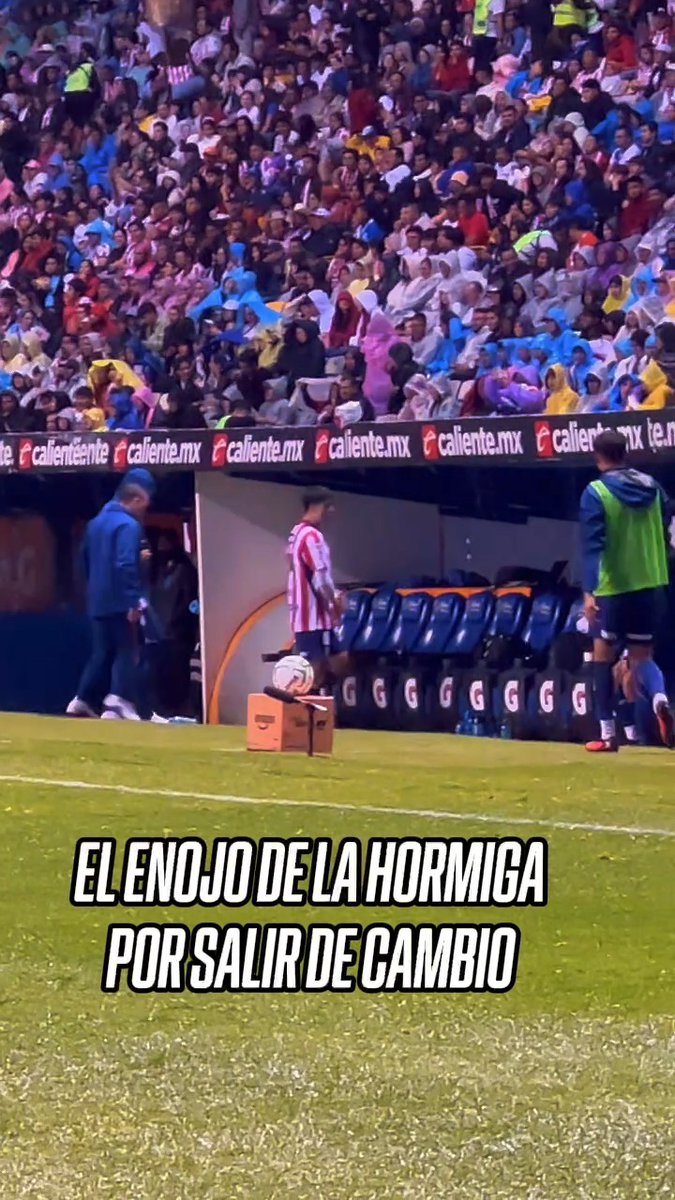 ¡NO LE GUSTÓ NADA! 😡 La 'Hormiga' González se molestó tras salir de cambio con Chivas 😳
