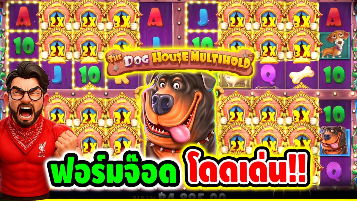 วันนี้ฟอร์มจ๊อด ซุปเปอร์โดดเด่น !! The Dog House Multihold- pragmatic play ⌛️ ติดตามเฮียริช ทุกช่องทาง : #เฮียริชสวิตเซอร์แลนด์