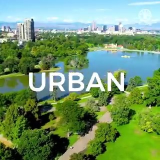 6⃣ benefits of #UrbanTrees 👇 🍃 Cool air 🫁 Remove pollutants 🖤 Absorb carbon 🐞 Increase biodiversity 💚 Improve health 💱 Increase property value #UrbanForests #ExtremeHeat