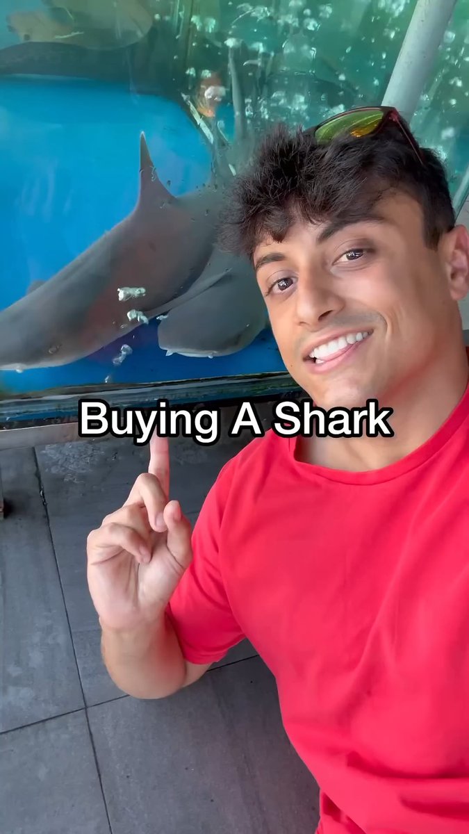 Buying EXPENSIVE Shark