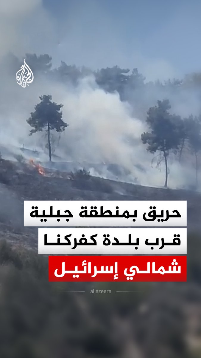 حريق في أشجار منطقة جبلية قرب بلدة كفركنا شمالي إسرائيل وسط محاولات السيطرة عليه عبر الطائرات #فيديو