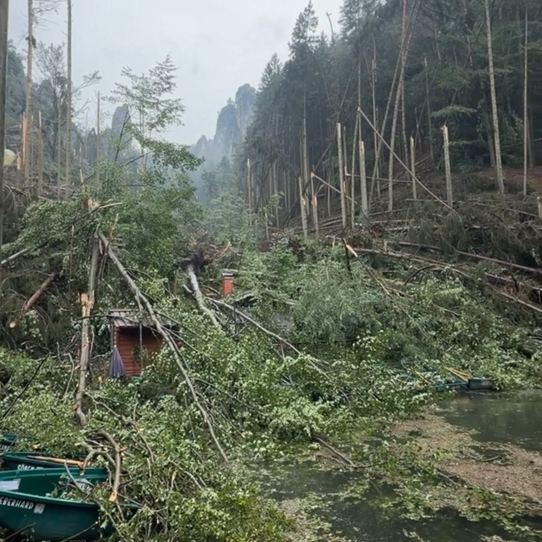 Die Bilder aus der Sächsischen Schweiz gehen mir sehr nahe. Ich leide mit den Menschen, die von diesem schweren #Unwetter betroffen sind. Besonders schmerzlich ist, dass ein Mensch dabei sein Leben verloren hat. Meine Gedanken sind bei seinen Angehörigen und allen, die jetzt um ihn trauern. Beeindruckt hat mich, mit welcher Kraft und Selbstverständlichkeit die #Rettungskräfte, der #Sachsenforst und viele ehrenamtliche Helferinnen und Helfer sofort angepackt haben. Dafür gilt ihnen mein herzlicher Dank und größter Respekt. Unser Versprechen ist klar: Wir lassen die Menschen vor Ort nicht allein. Wir werden helfen, die Schäden zu bewältigen und die Region zu unterstützen. Und ich bin sicher: Auf der #Felsenbühne #Rathen wird bald wieder gespielt. Denn die #SächsischeSchweiz steht für eine Gemeinschaft, die auch in schweren Zeiten zusammenhält und gemeinsam wieder nach vorn blickt.