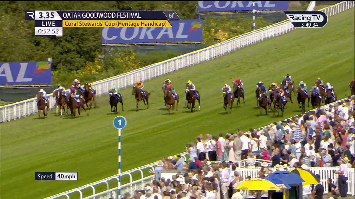 Wathnan win the Coral Stewards' Cup with Evening Saigon ๐ฆ๐ง๐ฅ James Doyle | Goodwood Racecourse