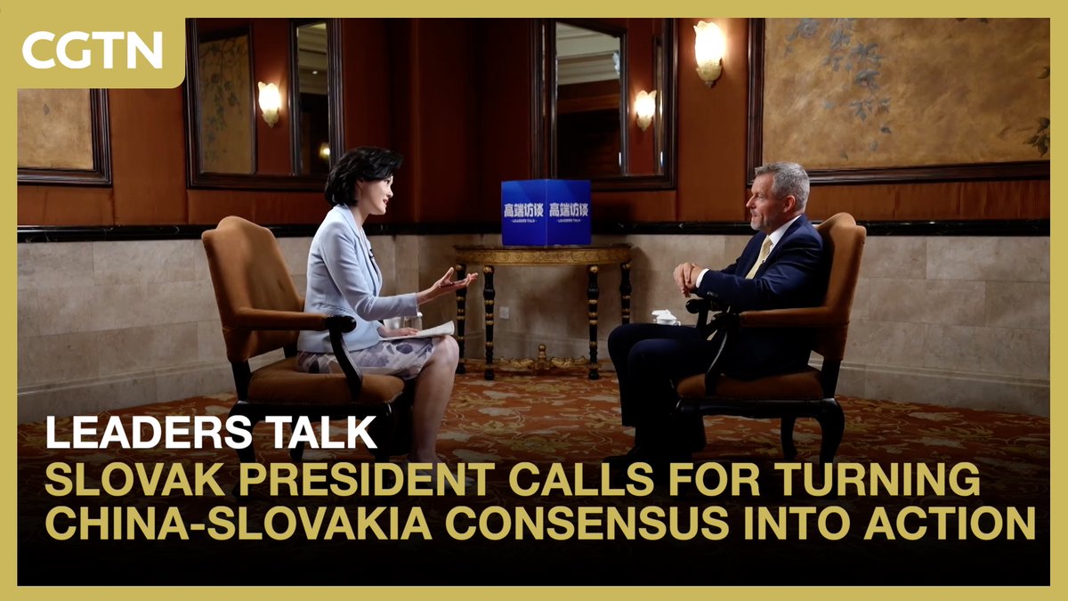 Slovak president calls for turning China-Slovakia consensus into action