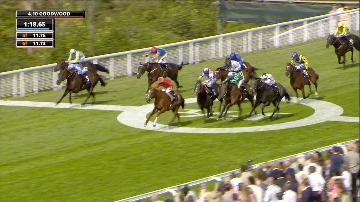 Gamble foiled at Goodwood. £320,000 was traded on the heavily punted We’re Goosers who hit 1.5 in-running. What’s your opinion on this? 🤔