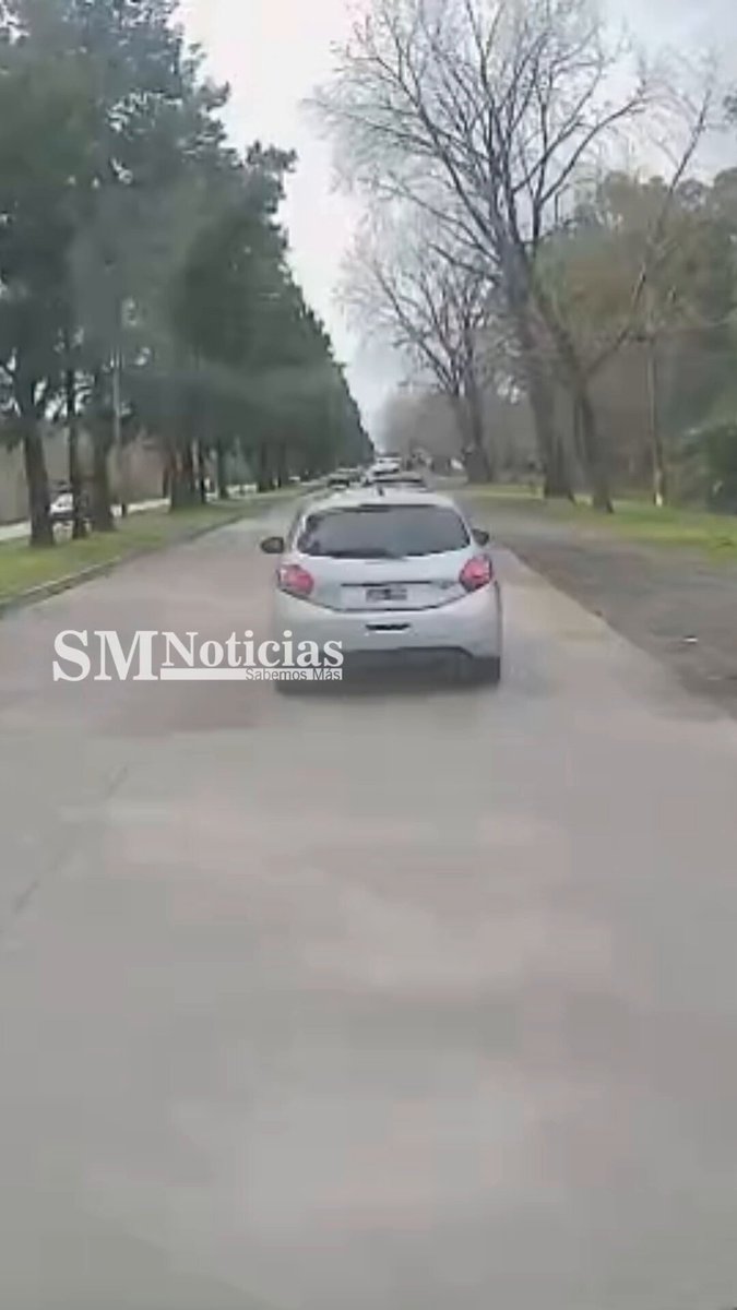● Subnormal frenó de golpe en Ruta 60 y un colectivo se estrelló con un árbol al esquivarlo ○ Fue en Berisso y hay al menos 20 heridos