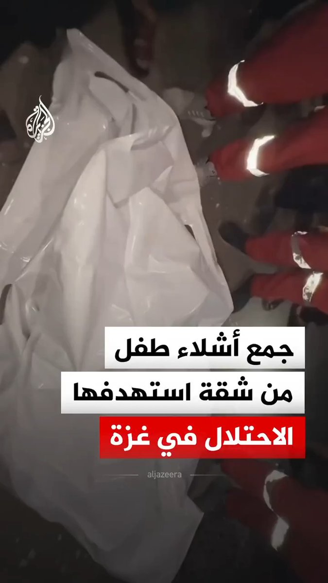 فلسطينيون يجمعون أشلاء طفل من داخل شقة سكنية في منطقة دير البلح وسط قطاع غزة، عقب استهدافها، وفق ما أفادت به مصادر محلية #فيديو