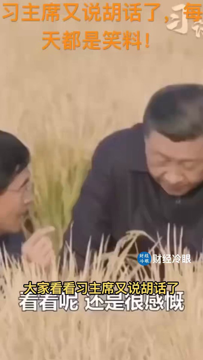 习主席又说胡话了，每天都是笑料！