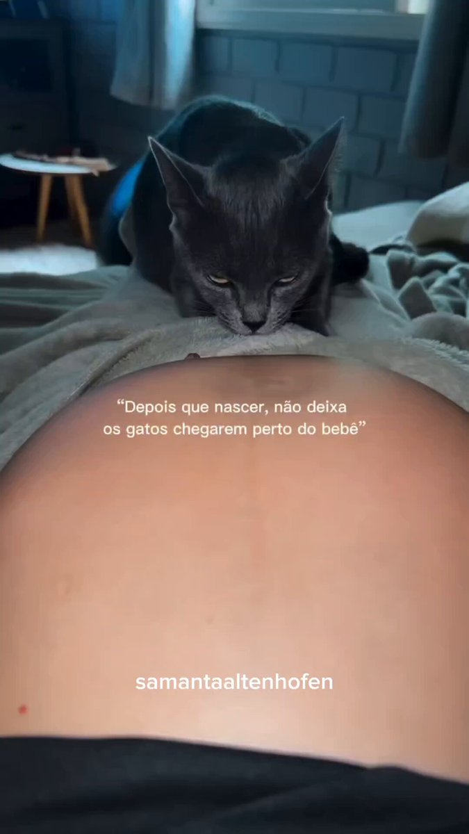 obcecada nessa gatinha Nazaré tratando o neném como se fosse dela 🥹❤️
