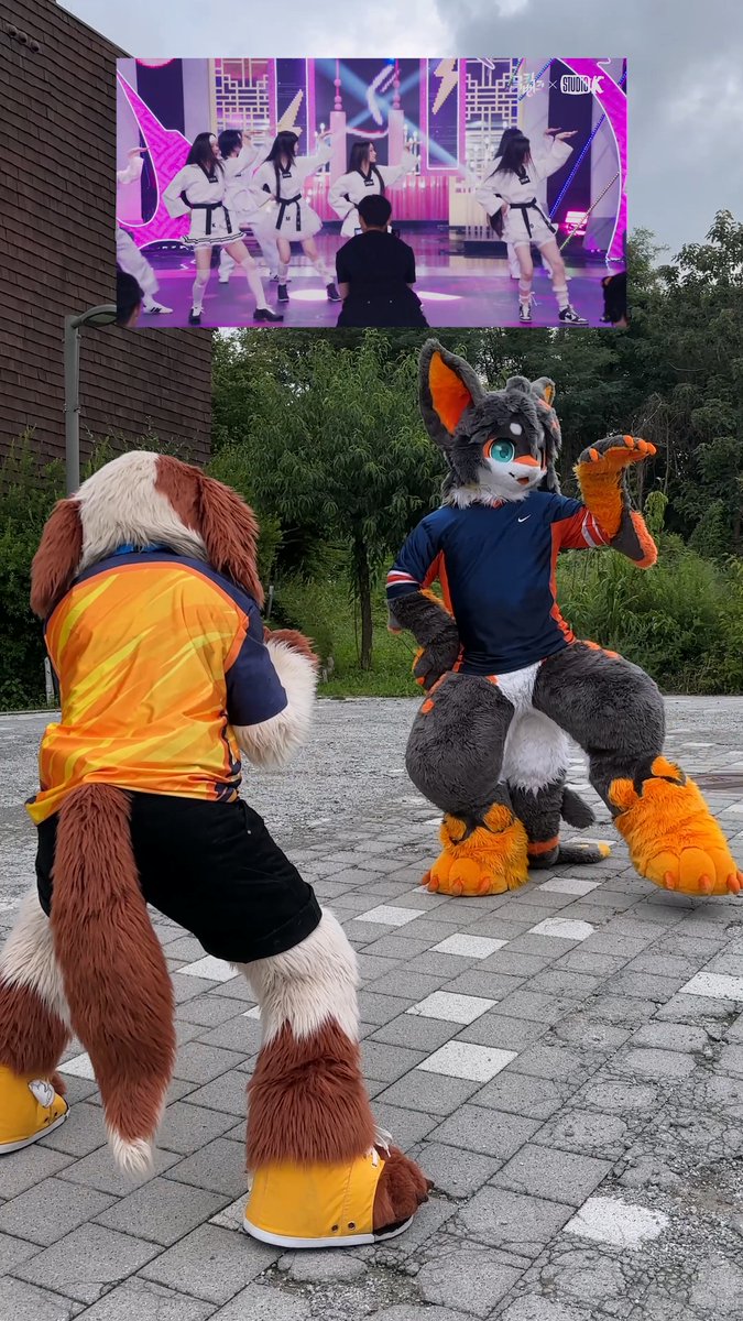 When your Cameraman Dances to Your Moves 📹🕺 🐶: Sangmin #BASTTIE #itsme #meme