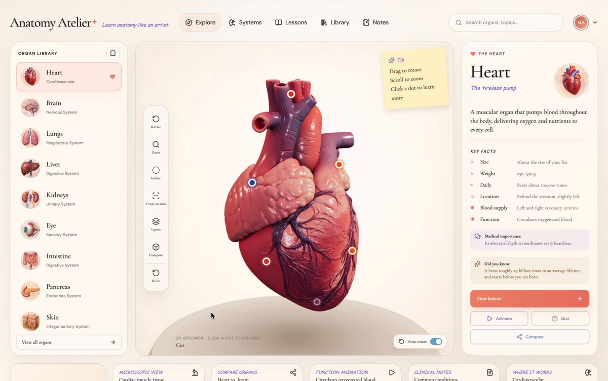 Only if education could be this interactive ❤️‍🔥 I've had a looong wish to build something genuinely useful through vibe coding, and I finally did it. A 3D human anatomy application built with Three.js using GPT 5.6 Sol. It all started with a single design image that I created using GPT Image 2.0. I then used it to generate every 3D organ image, one by one. Next, I converted each of those images into 3D models using Tripo (and no, they didn't sponsor this 😄). After that, I opened Codex, wrote a master prompt based on the design, and gave it the prompt, the design image, and all the 3D models. Codex built the first version beautifully, but there was one big problem. Every single 3D model was nearly 120-150 MB. That obviously wasn't practical for the web and was giving a performance of 16fps. After a few iterations, Codex optimized each model down to roughly 2–5.5 MB while preserving the visual quality, reducing the total asset size from ~900 MB to just 28.6 MB. And each model loads on demand. Along the way, Codex also generated those anatomical illustrations showing where each organ sits in the human body, and even created the interactive hotspot markers that explain different parts of every organ. It handled all of that. The process wasn't exactly one shot, but it also wasn't difficult. You just have to do it step by step. It genuinely felt like building something that could make learning anatomy much more engaging. The inspiration came from Dilum Sanjaya's 3D animal plant cell project. I remember seeing it and thinking, "I want to build something like this one day." And I did it :D Live: Code: