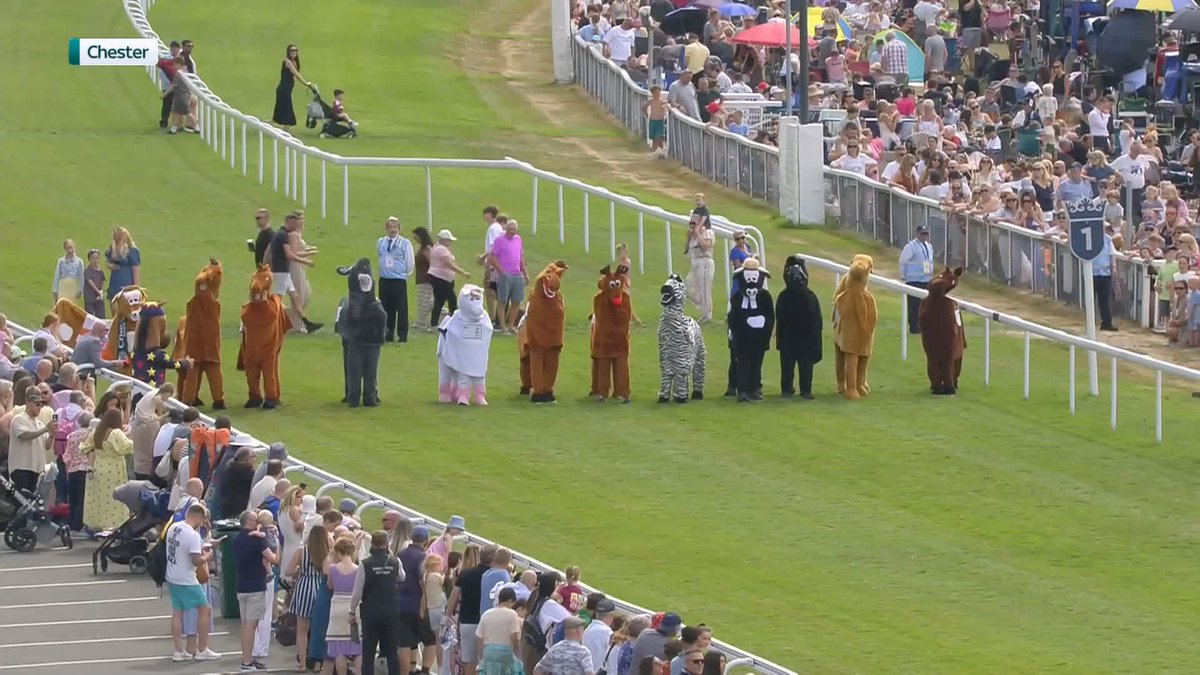 Heartbreak for Lewis Camelton backers at chesterraces! 🐫