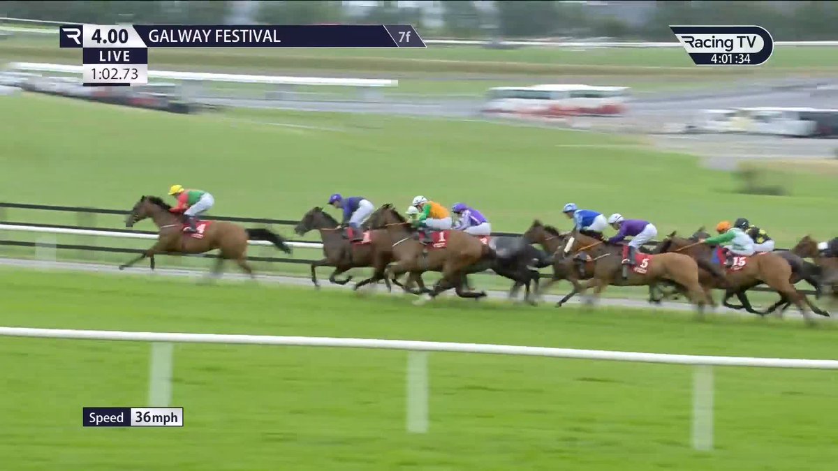Dunum 🤝 Galway Races Another course-and-distance win for the Natalia Lupini-trained gelding under Billy Lee in the Irish Stallion Farms Ahonoora Handicap 💥
