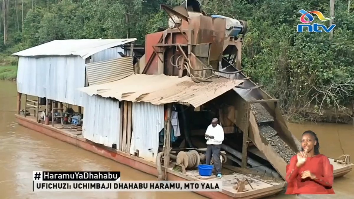Raia wa Uchina waendelea kuchimba dhahabu ndani ya Mto Yala eneobunge la Ikolomani bila leseni. Raia hao walikamatwa na kuachiliwa, shughuli ya uchimbaji bado inaendelea ndani ya Mto Yala. #HaramuYaDhahabu