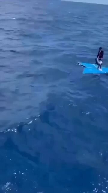 Rescatan a un pescador después de sobrevivir 5 días a la deriva en el mar. A 60 millas náuticas de Higuerote, una embarcación civil que transitaba por la zona logró localizar y rescatar con vida a Isaac Ordaz. El hombre se encontraba sobre algunos restos flotantes y manifestó que llevaba cinco días a la deriva tras el naufragio de su embarcación, denominada "PESCAPARIA". Asimismo, declaró que lo acompañaban otras tres personas, quienes habrían fallecido. De acuerdo con el testimonio del sobreviviente, oriundo de la península de Macanao (estado Nueva Esparta), él fue el único que logró sobrevivir de los cuatro jóvenes a bordo de la nave, la cual había partido desde Pampatar y cubría la ruta entre Los Frailes, La Tortuga e Higuerote. El pescador fue trasladado inicialmente al puerto de Carenero y, posteriormente, de urgencia al Hospital General de Higuerote, donde recibió atención médica por deshidratación severa. Las autoridades marítimas verifican la información mientras mantienen las labores de búsqueda en el área para intentar recuperar los cuerpos del resto de la tripulación.
