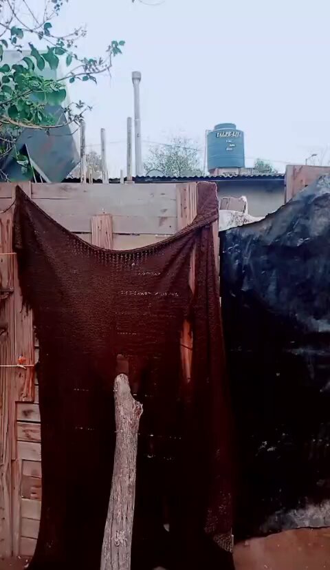 Usurpan terrenos y se quejan que el tren les pasa por la puerta. Y si señora, respete la ley, trabaje y compre o alquiler, no robe un terreno publico. Agradezca que no le fueron con topadora, eso deberían hacer.