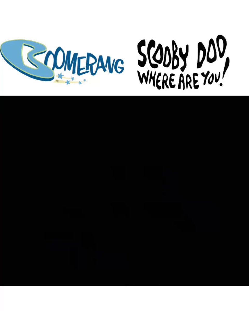 Mystery machine Boomerang Bumper from the 2000s