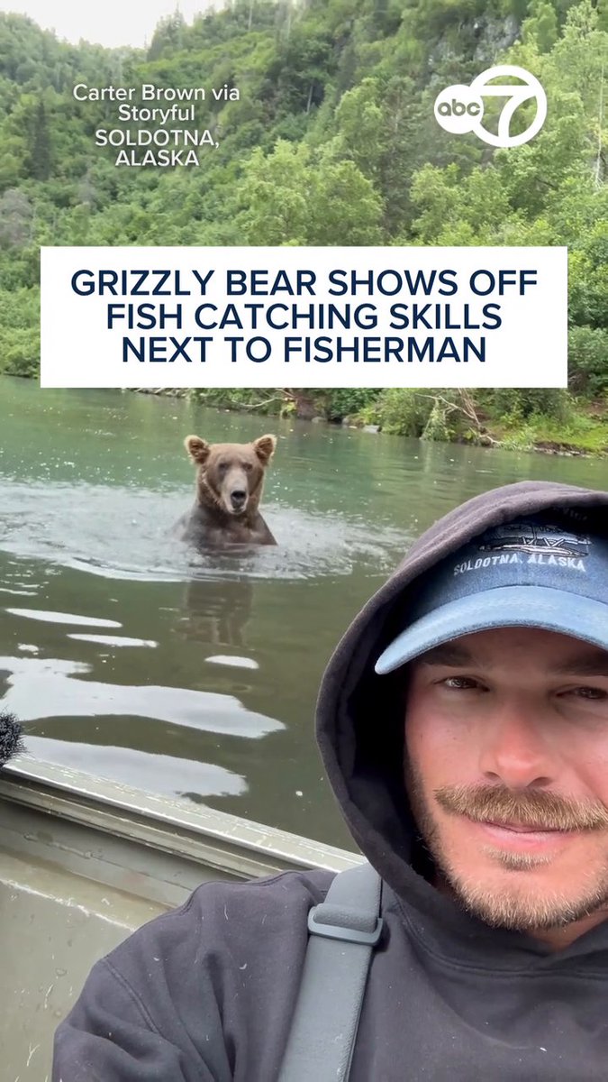 A fisherman managed to film the moment a grizzly bear came close to his boat to catch a fish. 🐻🎣 “I decided to take a selfie video of her as she foraged. She finds a piece of salmon while foraging and eats it right next to my head! My clients were mind-blown,” said Carter Brown, a fishing guide in Alaska.