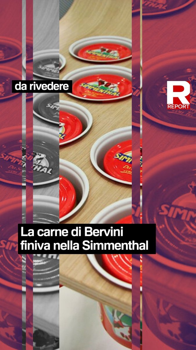 Abbiamo scoperto che la carne di Bervini rappresentava il 6,6% del totale acquistato dalla Bolton per fare la famosa carne in scatola Simmenthal. Rivedi la puntata del 7 dicembre 2025:
