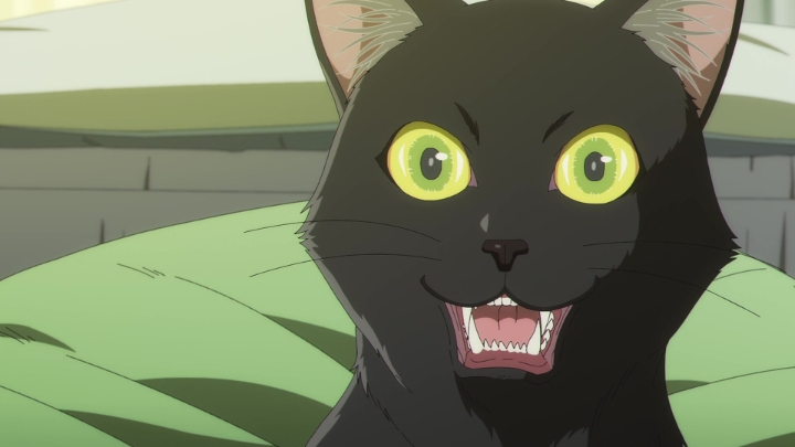 La cara de Rago: 😸 Su voz: 👹 Anime: BLACK TORCH