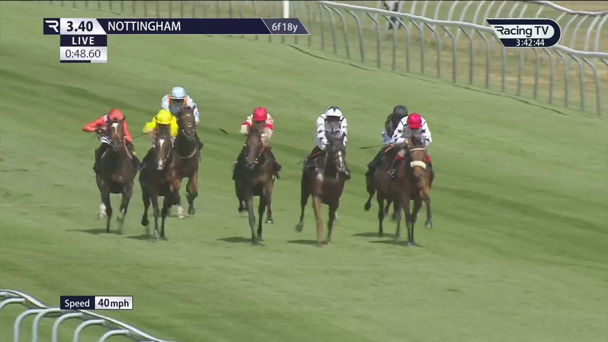 ✅ Winning handicap debut for Mobadir