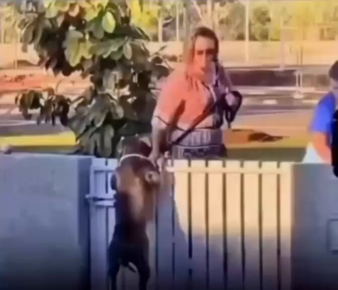 Herkes yanından geçip uzak durdu… Ta ki sahibi aklına harika bir fikir getirene kadar.