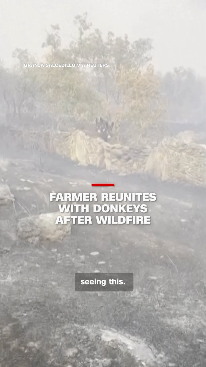 A Spanish farmer captured the moment she reunited with her donkeys after a wildfire forced her to flee.