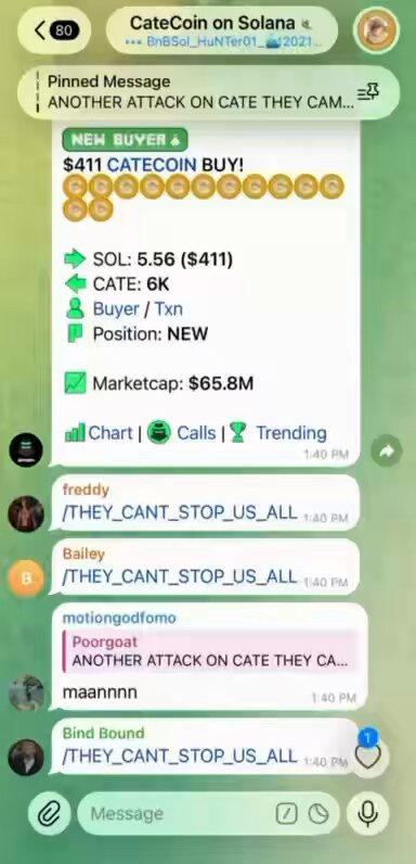 LMAO YOU THINK YOU CAN STOP THIS ARMY?!?!?!? BULLISH
