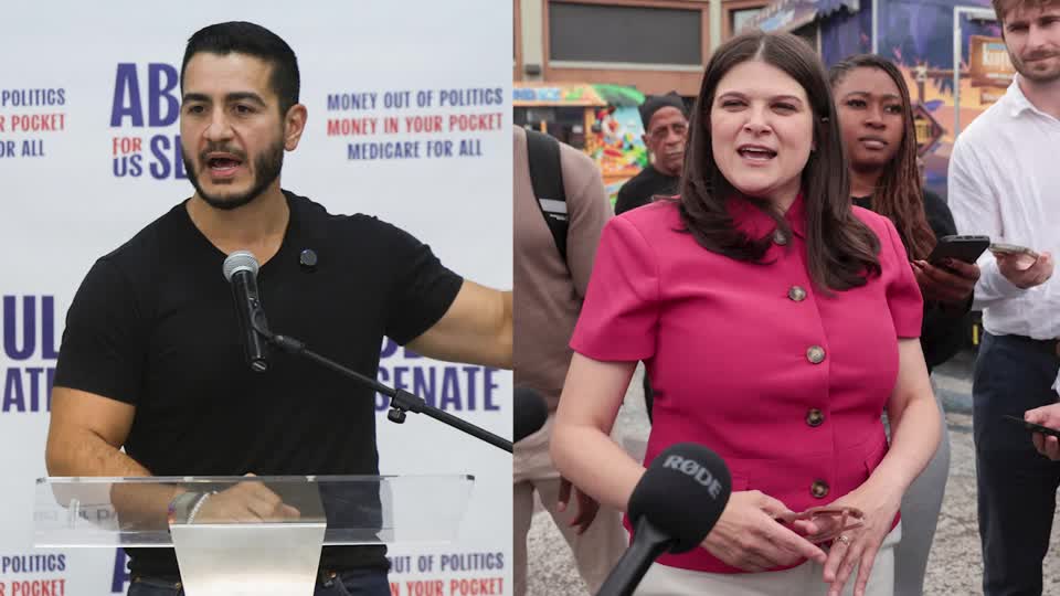 As Michigan voters head to the polls on August 4, the Senate primary highlights an internal debate within the Democratic Party over US support for Israel