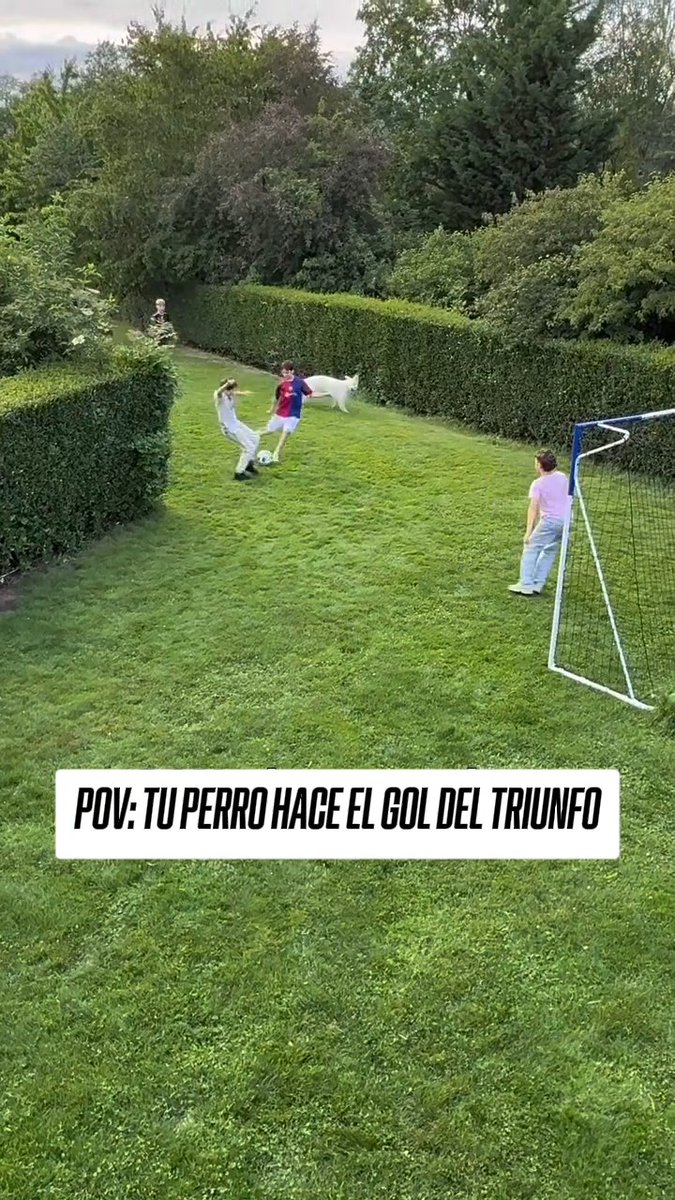 Cuando Buddy, el perro Superestrella se vuelve real 🐶 🤣 🎥 neveandb