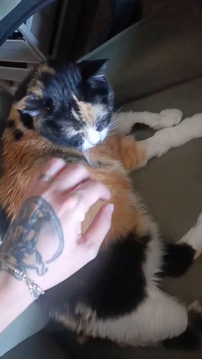 La oncóloga y la cirujana de Cleo me dan una calma brutal. La cirujana ha puesto la cirugía como si fuera la cosa más rutinaria del mundo. La oncóloga tiene todas las ideas de tratamiento para ella. Sólo queda cruzar dedos